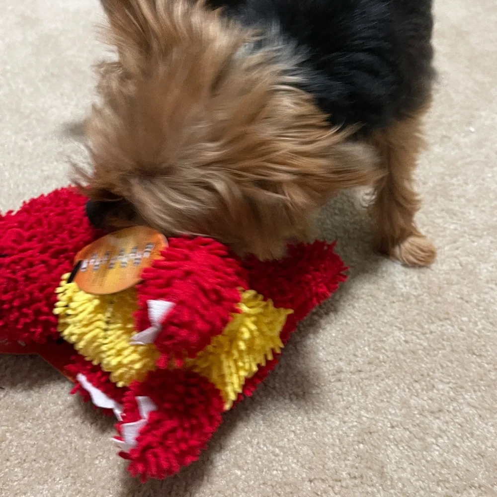 Mighty Toys Microfiber Ball Dragon Durable Squeaky Dog Toy Plus Dog Bags & Treat